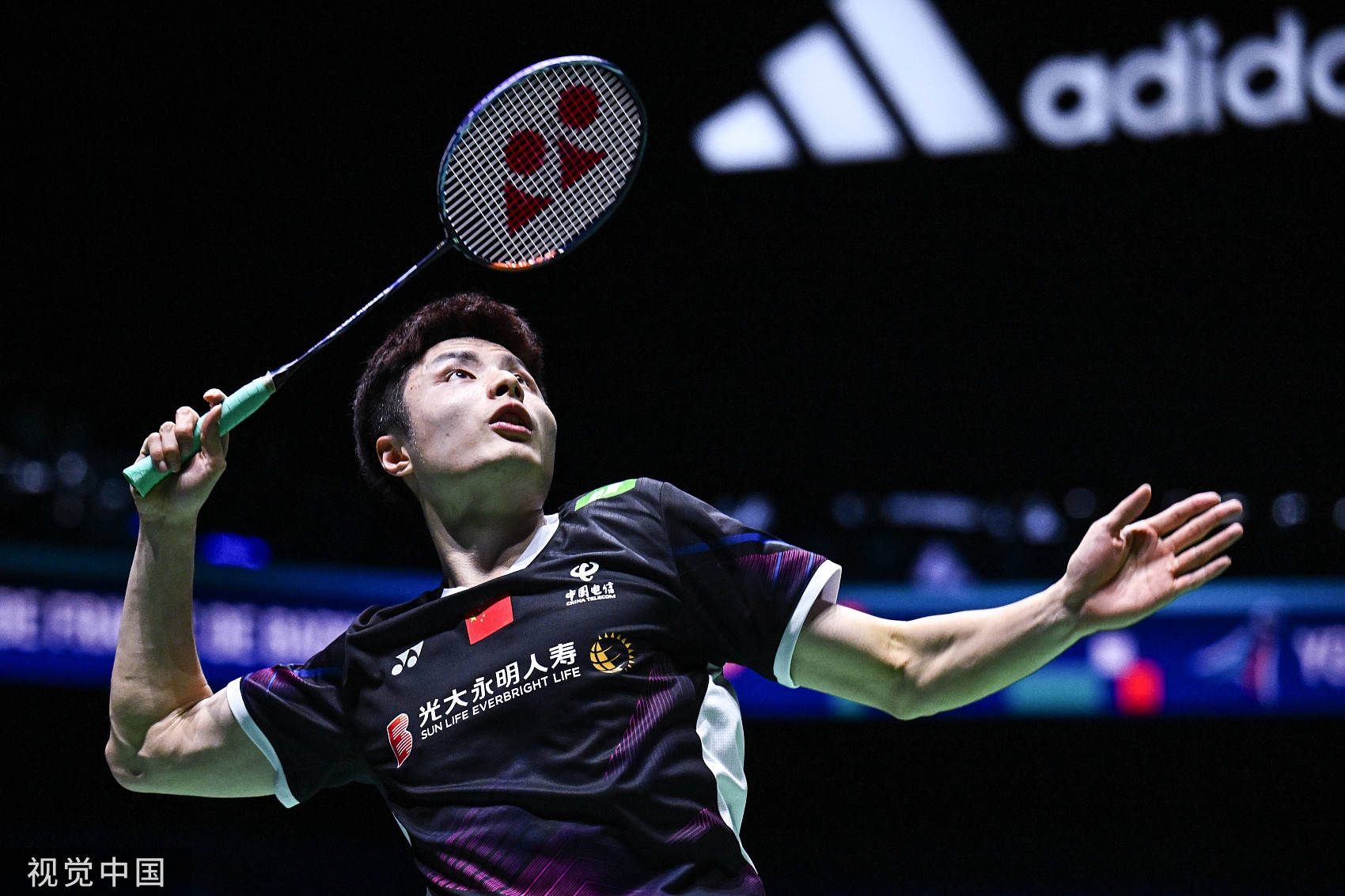 张康阳时代 张康阳时代